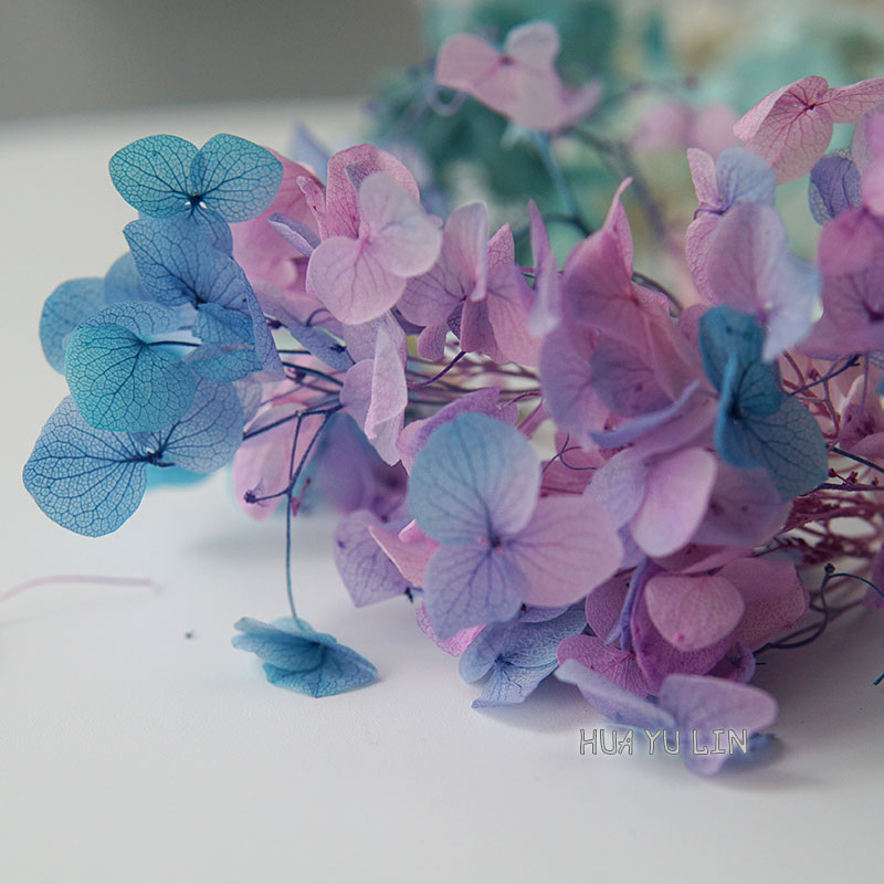 Dried Flower Bunch - オンブレグラデーションドライプリザーブドアジサイフラワードライフラワーDIY手作りブーケ作り花瓶飾りウェディングパーティー