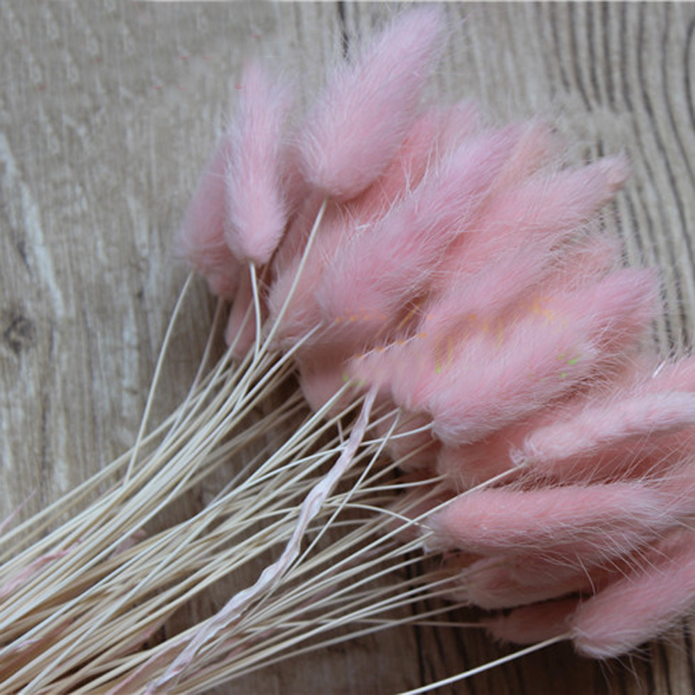 50 個のドライナチュラルフラワーブーケピンク色ラグルスオバ - Dried Flower Bunch のレビューと価格