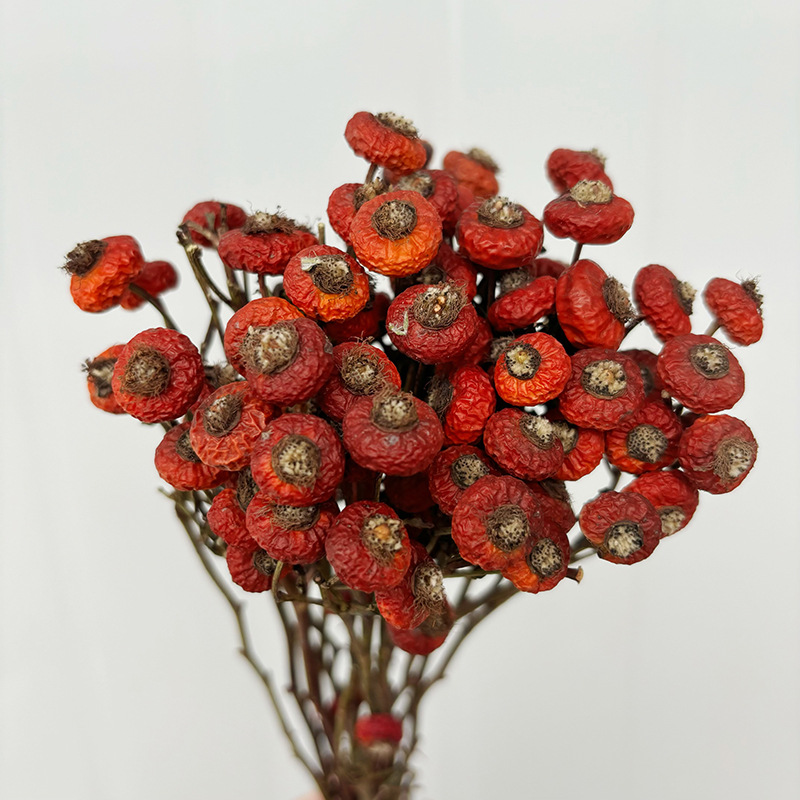 10個/束 ドライローズヒップベリーの花 天然ドライフラワー - Dried Flower Bunch のレビューと価格