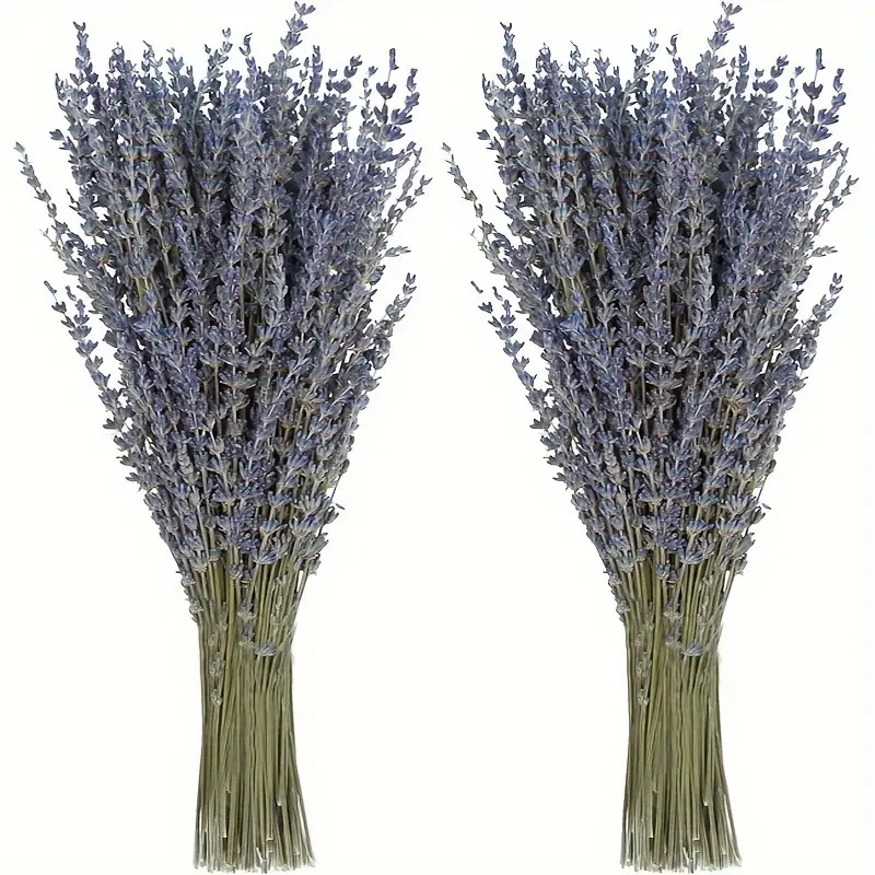 200個/束 ラベンダー ドライフラワー ホームリビングルー - Dried Flower Bunch のレビューと価格