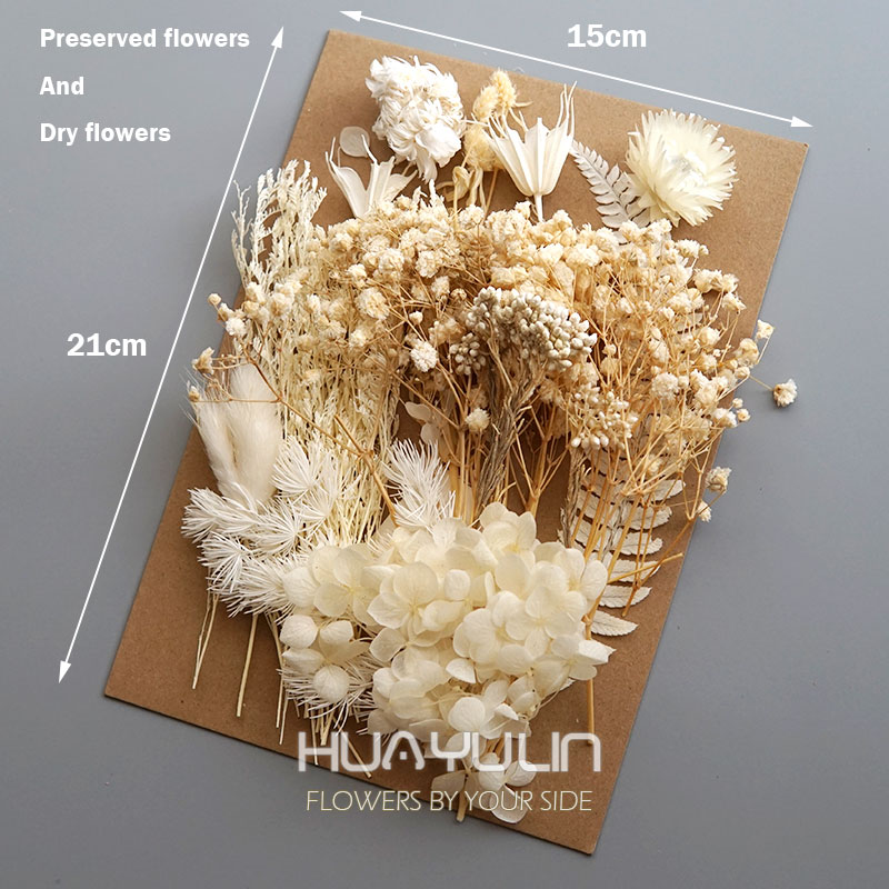 1 パック人工植物ドライ本物の花プリザーブド材料エポキシ樹脂 - Dried Flower Bunch のレビューと価格